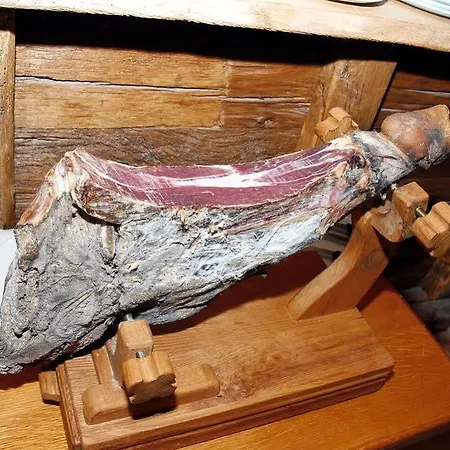 Vilola זמברטיה